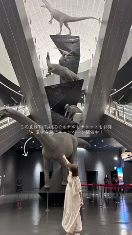 日常ナノのTikTok投稿