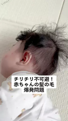 ひーちゃんのママのTikTok投稿