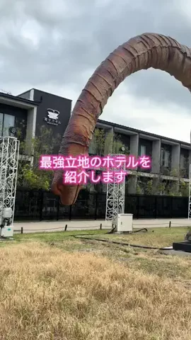くらとあぶみのTikTok投稿