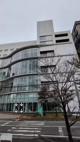 トアンもん　チャンネルのTikTok投稿