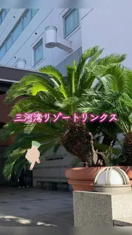 くらとあぶみのTikTok投稿