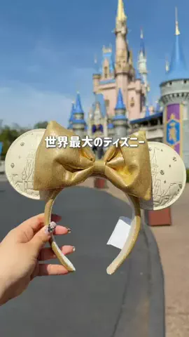 まるさん / Marusan 🏰🌋のTikTok投稿