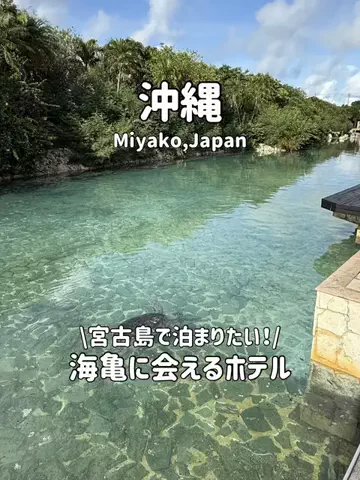 ゆいたす✈︎年100泊する旅好きカップルのTikTok投稿