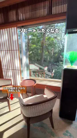 モナリ@静止画やめて外出中👒‖関東発のTikTok投稿