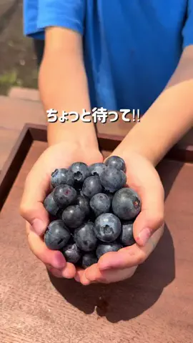 neneko_3boysのTikTok投稿