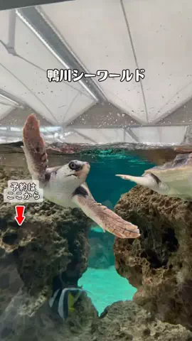 モナリ@静止画やめて外出中👒‖関東発のTikTok投稿