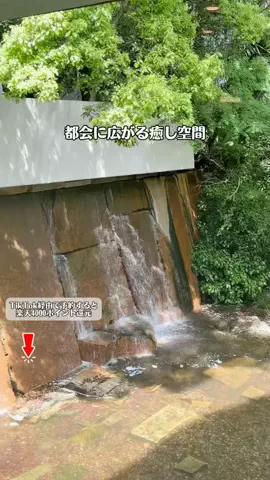 モナリ@静止画やめて外出中👒‖関東発のTikTok投稿