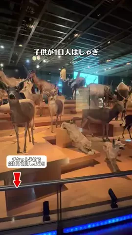 モナリ@静止画やめて外出中👒‖関東発のTikTok投稿