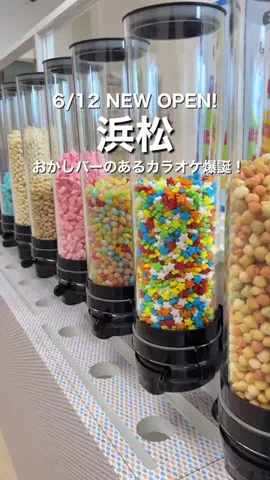 あそぶ浜松🚗💨静岡おでかけイベントのTikTok投稿