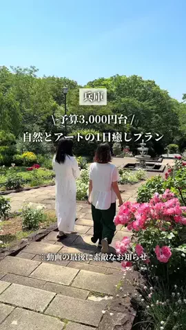 ここっと兵庫 |兵庫おでかけ・穴場グルメのTikTok投稿