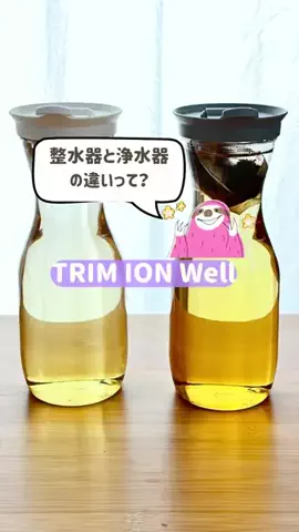 イエモネのTikTok投稿