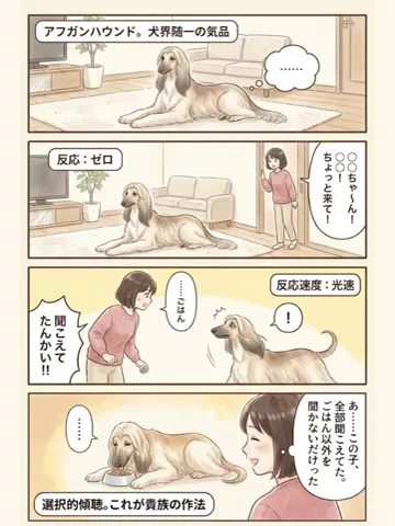 都内のチワワのTikTok投稿