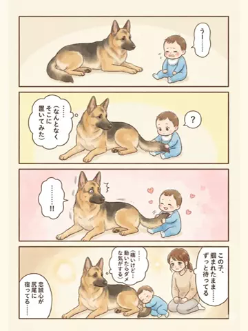 都内のチワワのTikTok投稿