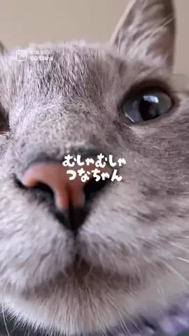 つな🐟tunaのTikTok投稿