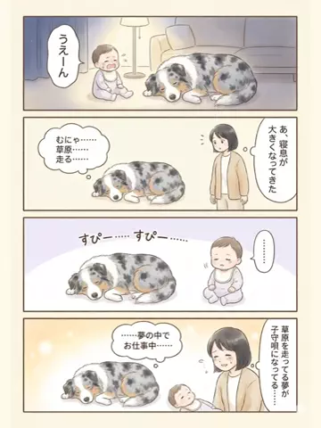 都内のチワワのTikTok投稿