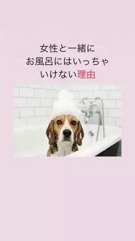 はんなり恋愛手帳のTikTok投稿