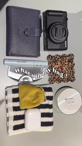 ia_poyoのTikTok PR投稿：最近のお気に入りな持ち物たち👜 バッグはSNSで人気のシ…