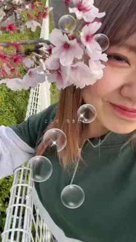 ぷりんヌ🍮👑(フウカ)のTikTok投稿