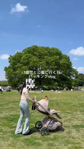 SS | 40mで家族5人暮らしのTikTok投稿