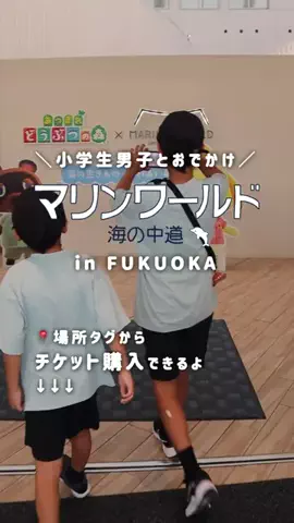 えはみのDIYと暮らしのTikTok投稿