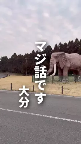 DSK 大分グルメ・ライフのTikTok投稿