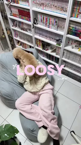 部屋とオタ活と私のTikTok投稿