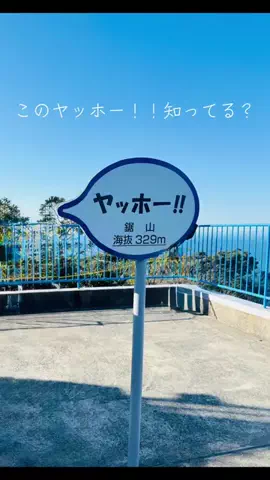 旅する猫のTikTok投稿