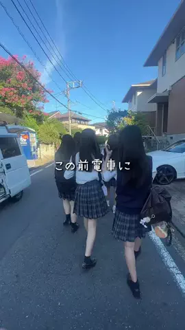 ジュヒちゃん🐽のTikTok投稿