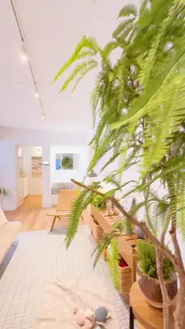 K-ta_roomのTikTok投稿