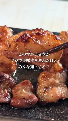 髭食堂のTikTok投稿