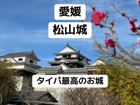 MOROTAAN✈️出張の楽しみのTikTok投稿