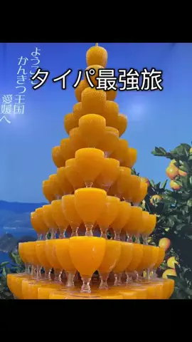 MOROTAAN✈️出張の楽しみのTikTok投稿