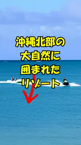 おっきー 🍍沖縄人のTikTok投稿