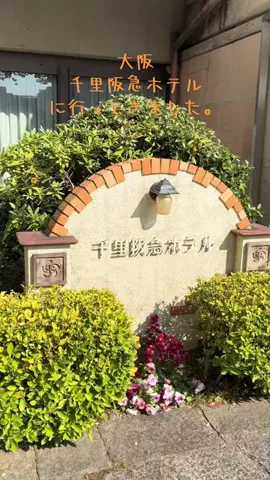 女　一人旅のTikTok投稿