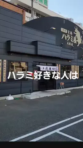 kitysaty〜関西食道〜のTikTok投稿