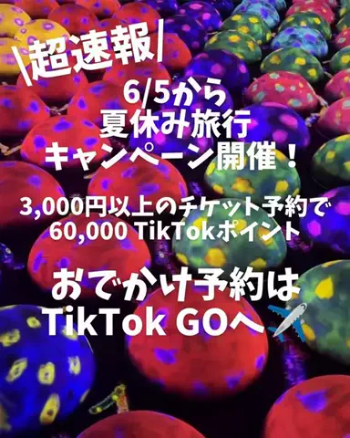愛ピカ★Trip|おでかけ・旅行|のTikTok投稿