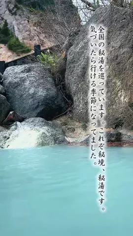 Fuki Fu-campのTikTok投稿