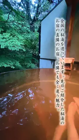 Fuki Fu-campのTikTok投稿