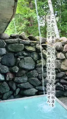 Fuki Fu-campのTikTok投稿