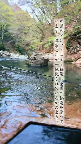 Fuki Fu-campのTikTok投稿