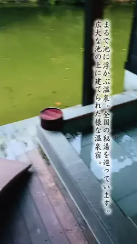 Fuki Fu-campのTikTok投稿