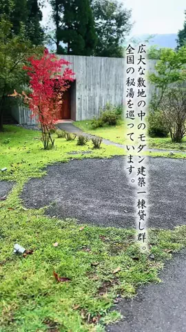 Fuki Fu-campのTikTok投稿