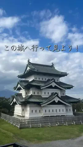 ミカマイ📺元ADゆるっと取材🌈のTikTok投稿