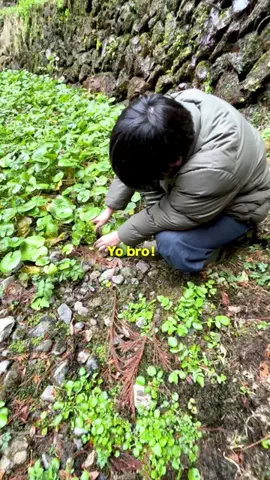 InakaGuysのTikTok投稿