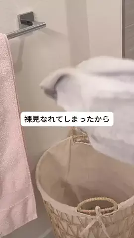 ペタンコ卒業女🌹りなのTikTok投稿