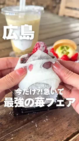 もぐもぐくらぶのTikTok投稿