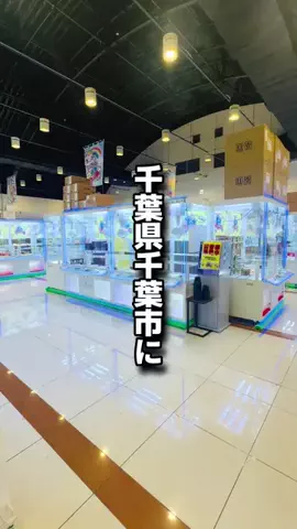 ふじさん（Akihabara Goton Player）のTikTok投稿