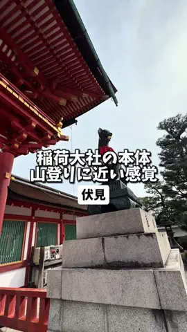 日本グルメのTikTok投稿