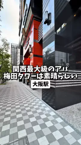 日本グルメのTikTok投稿