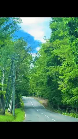 ★さったん★のTikTok投稿